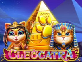 qual é o melhor pinnacle ou premiere